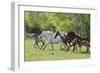 Running Free-Orah Moore-Framed Art Print