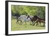 Running Free-Orah Moore-Framed Art Print