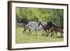 Running Free-Orah Moore-Framed Art Print