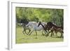 Running Free-Orah Moore-Framed Art Print