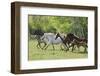 Running Free-Orah Moore-Framed Giclee Print