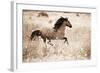 Running Free-Lisa Dearing-Framed Photographic Print