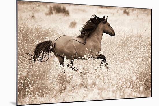 Running Free-Lisa Dearing-Mounted Photographic Print