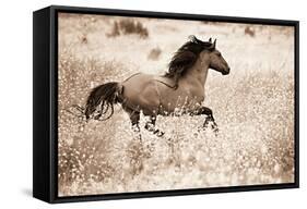 Running Free-Lisa Dearing-Framed Stretched Canvas