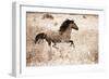 Running Free-Lisa Dearing-Framed Premium Photographic Print