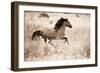 Running Free-Lisa Dearing-Framed Photographic Print