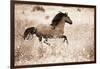 Running Free-Lisa Dearing-Framed Photographic Print