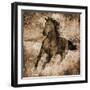 Running Free-Eric Yang-Framed Art Print