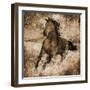 Running Free-Eric Yang-Framed Premium Giclee Print