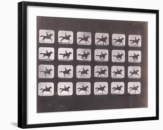 Running (Galloping) by Eadweard J. Muybridge-null-Framed Photographic Print