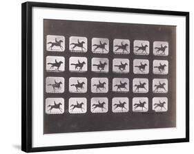 Running (Galloping) by Eadweard J. Muybridge-null-Framed Photographic Print