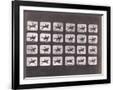 Gramercy Black