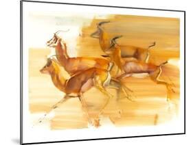 Running Gazelles, 2010-Mark Adlington-Mounted Giclee Print