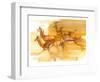 Running Gazelles, 2010-Mark Adlington-Framed Giclee Print