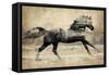 Running Horse Gold II-Tina Blakely-Framed Stretched Canvas