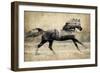 Running Horse Gold II-Tina Blakely-Framed Art Print