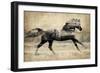 Running Horse Gold II-Tina Blakely-Framed Art Print