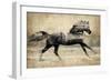 Running Horse Gold II-Tina Blakely-Framed Art Print