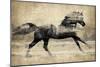 Running Horse Gold II-Tina Blakely-Mounted Art Print