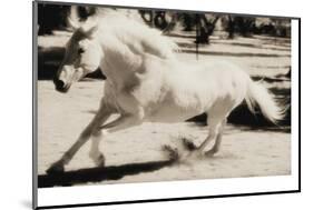 Running Horse-Theo Westenberger-Mounted Photographic Print