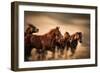 Running Horses, Blur and Flying Manes-Sheila Haddad-Framed Photographic Print