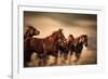 Running Horses, Blur and Flying Manes-Sheila Haddad-Framed Photographic Print