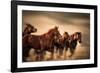 Running Horses, Blur and Flying Manes-Sheila Haddad-Framed Photographic Print