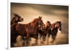 Running Horses, Blur and Flying Manes-Sheila Haddad-Framed Photographic Print