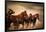 Running Horses, Blur and Flying Manes-Sheila Haddad-Framed Photographic Print