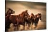 Running Horses, Blur and Flying Manes-Sheila Haddad-Stretched Canvas
