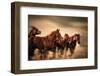 Running Horses, Blur and Flying Manes-Sheila Haddad-Framed Photographic Print