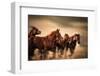 Running Horses, Blur and Flying Manes-Sheila Haddad-Framed Photographic Print