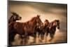 Running Horses, Blur and Flying Manes-Sheila Haddad-Mounted Photographic Print