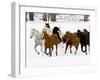 Running Horses on Hideout Ranch, Shell, Wyoming, USA-Joe Restuccia III-Framed Photographic Print