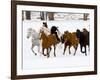 Running Horses on Hideout Ranch, Shell, Wyoming, USA-Joe Restuccia III-Framed Photographic Print