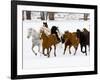 Running Horses on Hideout Ranch, Shell, Wyoming, USA-Joe Restuccia III-Framed Photographic Print