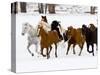 Running Horses on Hideout Ranch, Shell, Wyoming, USA-Joe Restuccia III-Stretched Canvas