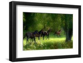 Running Horses-Allan Wallberg-Framed Photographic Print