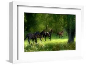 Running Horses-Allan Wallberg-Framed Photographic Print