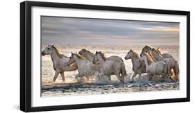 Running Horses-Xavier Ortega-Framed Photographic Print