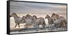 Running Horses-Xavier Ortega-Framed Stretched Canvas