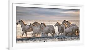 Running Horses-Xavier Ortega-Framed Photographic Print