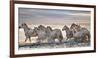 Running Horses-Xavier Ortega-Framed Photographic Print