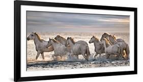 Running Horses-Xavier Ortega-Framed Photographic Print