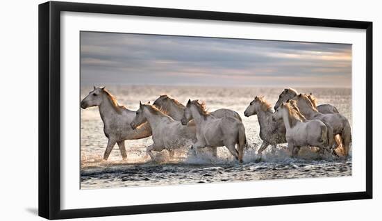 Running Horses-Xavier Ortega-Framed Premium Photographic Print