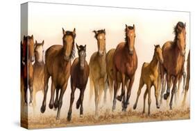 Running Horses-James W. Johnson-Stretched Canvas