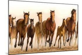 Running Horses-James W. Johnson-Mounted Giclee Print