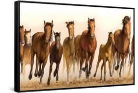 Running Horses-James W. Johnson-Framed Stretched Canvas