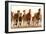 Running Horses-James W. Johnson-Framed Giclee Print