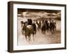 Running Horses-Monte Nagler-Framed Photo